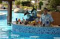 Clicca sull'immagine per ingrandirla. 

Nome:   Hilton_Sharm_Dreams_restaurants_poolbar02_large.jpg 
Visite: 21 
Dimensione: 24.1 KB 
ID: 131607